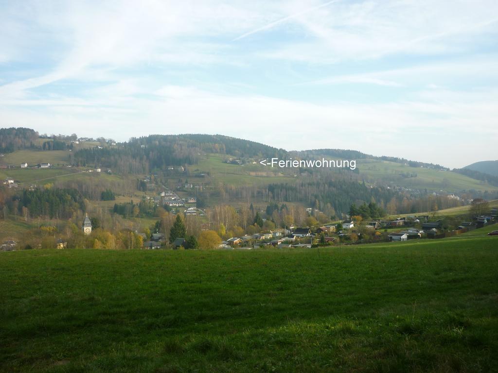 Ferienwohnung Laempelberg Klingenthal Habitación foto